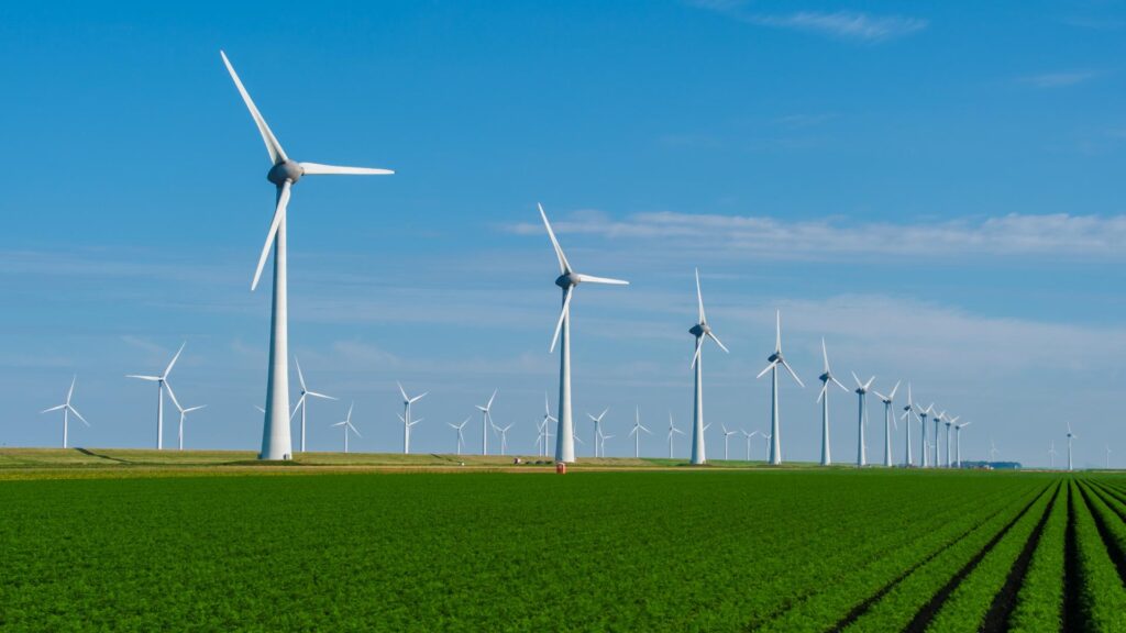 a windmill farm on a sunny day